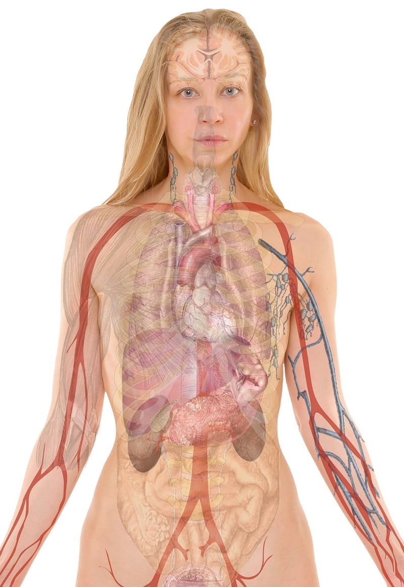 Breath Awareness