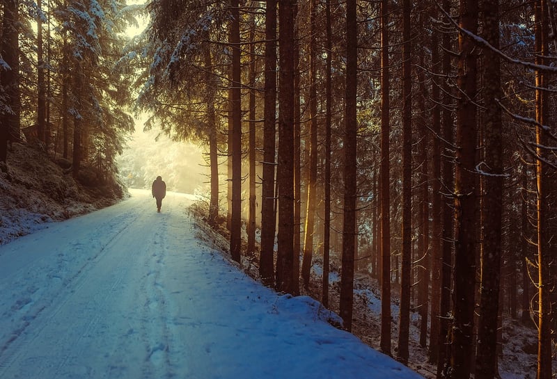 Walking in nature